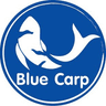 Blue Carp logo
